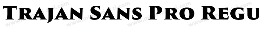 Trajan Sans Pro Regu字体转换